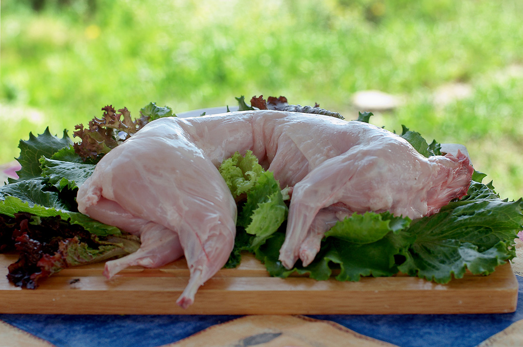 Мясо кролика, крольчатина